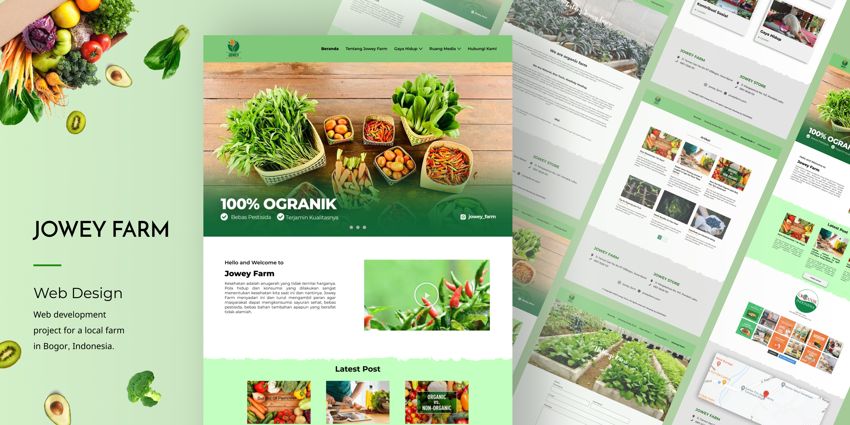 Portfolio Item
